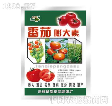 ����-���������