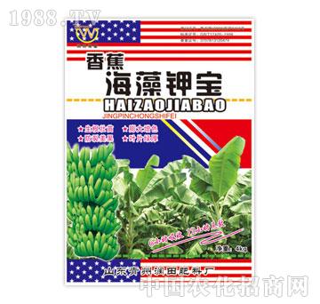 ����-�㽶����⛌�