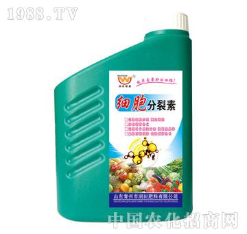 ����-����������1kg