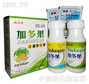 �Ӷ��������������ˎ