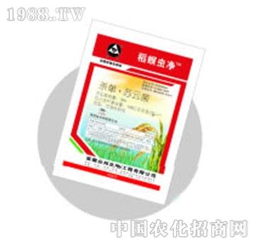 ����-�����x��