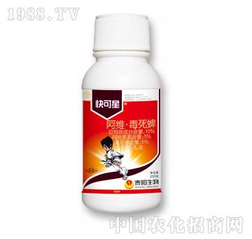 10%���S������-�����-̩�