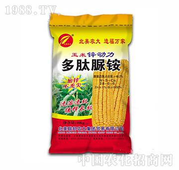 �����\����-�������@-�����r��