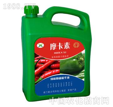 �����־����AҺ-Ħ����-��(qi��ng)о���H