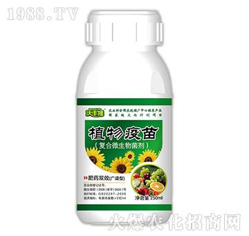 ֲ�����磨�V�V�ͣ�-���S¡-��(qi��ng)