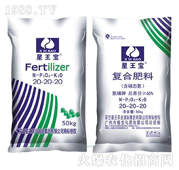 �����B(t��i)����(f��)�Ϸ���20-20-20-������-ֲ������