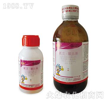 20%��������������-����-��������