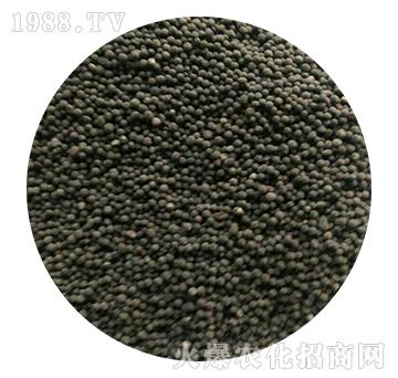 �������-�֠���(y��u)