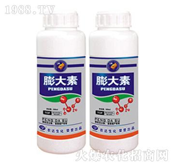 �����-�r�_����