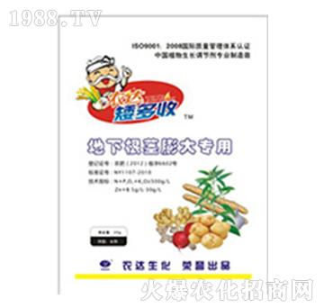 ���¸��o���(zhu��n)��-�r(n��ng)�_(d��)����