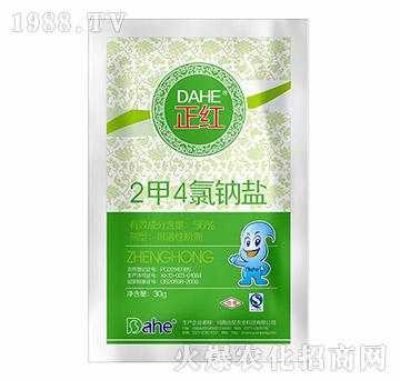 2��4���c�}-���t-�hҊ�r�I(y��)