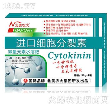 �M�ڼ���������-�����r(n��ng)��