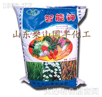 ����⛣�����-��ɽ���S