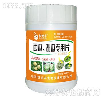 ��������ό���Ƭ��һ��һƬ��-�����S