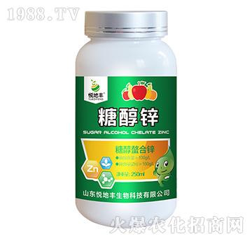 �Ǵ������\-�Ǵ��\-�����S