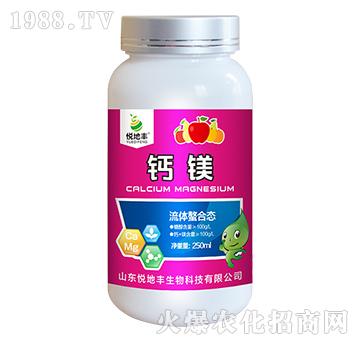 ���w���ϑB(t��i)-�}�V-�����S