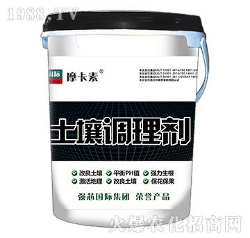 �����{(di��o)�턩-Ħ����-��(qi��ng)о��(gu��)�H