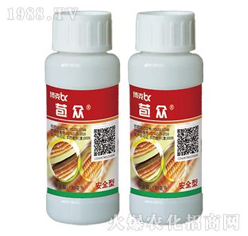 24%���ס�ݬȥ��-����-���˰ل�