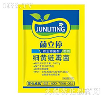 ���S�ù��-����ͣ-�滯���h