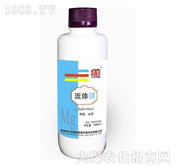 ���w�V-�W��ɭ