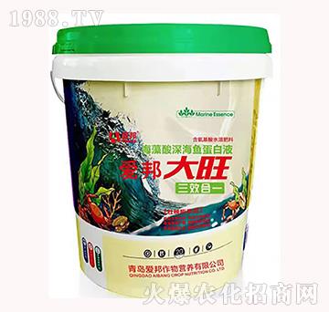 ��������~����Һ-����-�۰�