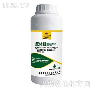 ���w��-�W�R˹