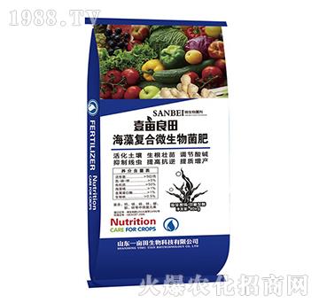 ����ͺ�΢�������-Ҽ������