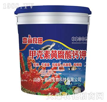 �ך����S�����}�-Ҽ������