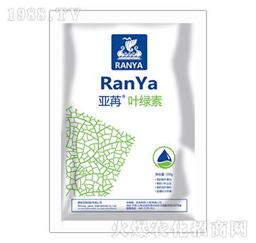 �����~�G��-���ۇ�(gu��)�H