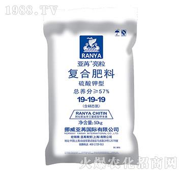 ������͏�(f��)�Ϸ���19-19-19-��������-���ۇ�(gu��)�H