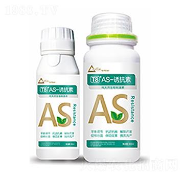 T8��AS-�T����-�����Ƽ�