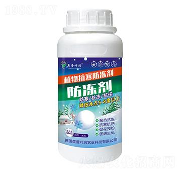 ֲ�￹��������-Ӣ���~��