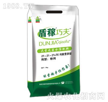 �I�B(y��ng)�����ʹ���Ԫ��ˮ�ܷ���21-21-21+TE-�ܼ��ɷ�-��ķ˹��