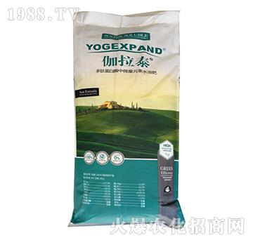 ���ĵ���ø��΢��Ԫ��ˮ�ܷ�-٤��̩-� �����