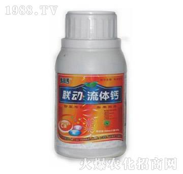 ���w�}-(li��n)��-� �����