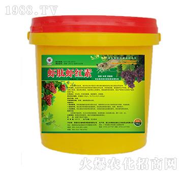 �r���r�t�؛_ʩ��-��̩����