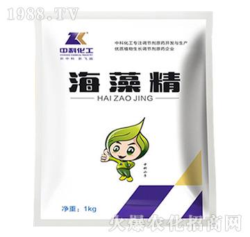 ���徫-�пƻ���