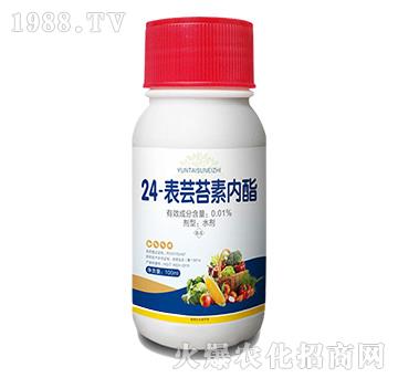 24-���|�|̦�؃�(n��i)��-�пƻ���