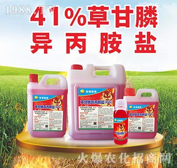 41%�ݸ�좮������}-�زݳ���-���S����