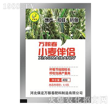 С����H-�f�ڴ�