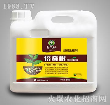 ����������-�����-�����