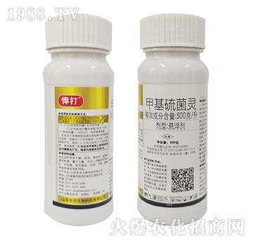 500��ÿ���׻�����`-����-�|������