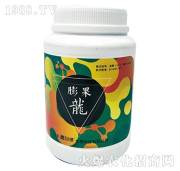 ������������-���˳�