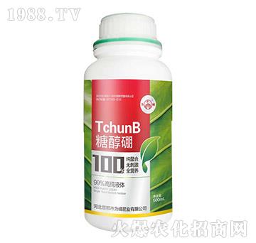 ��һԪ��-�Ǵ���-���