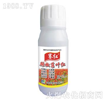 �������~�t-ِ�t-���䌍�I(y��)