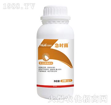 �׷�ʭ���Ό���-���r��-�к�����