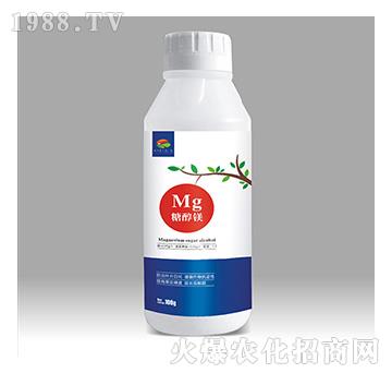 �Ǵ��V-��������