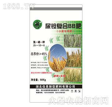 С���������@�ͺ�BB��-����