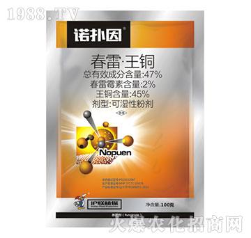 47%���ס����~-�Z����-��(li��n)