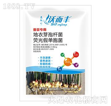 ���⌣�ßɹ⡤����ѿ�ߗU��-�ֶ��S-̩����